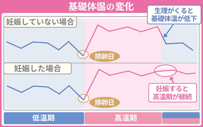妊娠初期症状と生理前症状の違いは?頻尿や基礎体温に注目