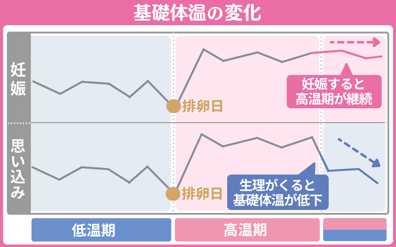 妊娠超初期と思い込みの違いは基礎体温の変動