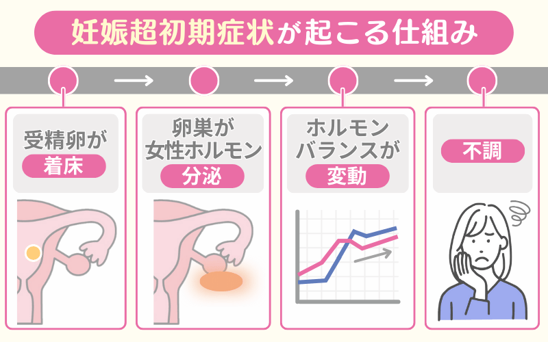 妊娠超初期症状が出るのは性行為の1〜2週間以降