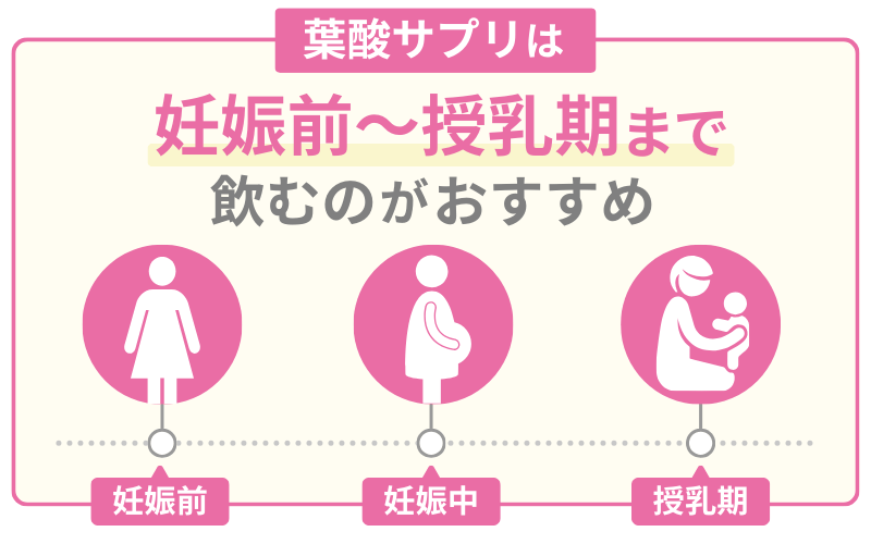 葉酸サプリを飲むタイミングは授乳期まで