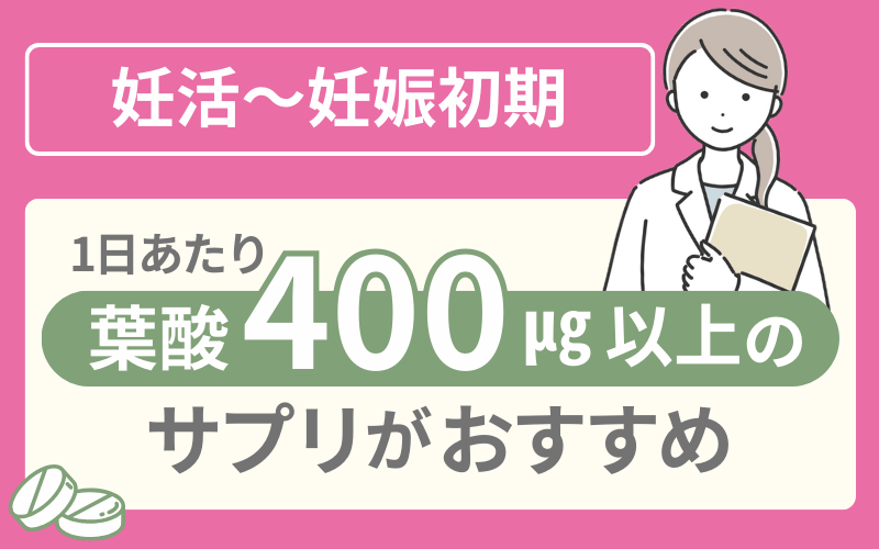 妊活~妊娠初期は1日400μg以上の葉酸が摂れるサプリメントがおすすめ