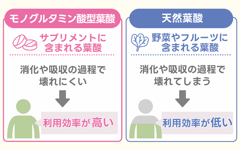 妊活~妊娠中に葉酸サプリがおすすめな理由は吸収率が高いから