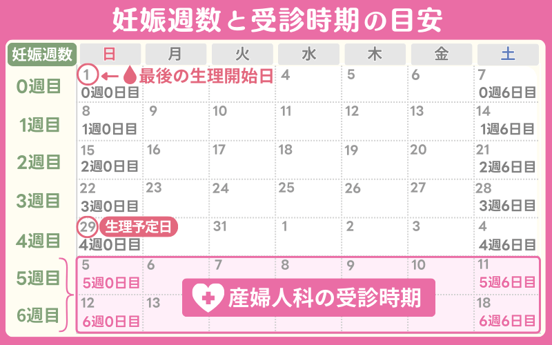 妊娠週数と受診時期の目安