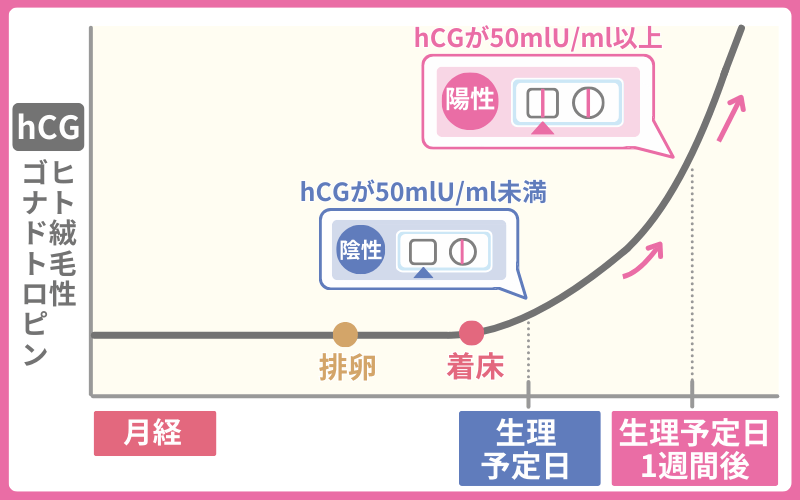 妊娠検査薬はいつから使える？タイミングは生理予定日の7日後以降