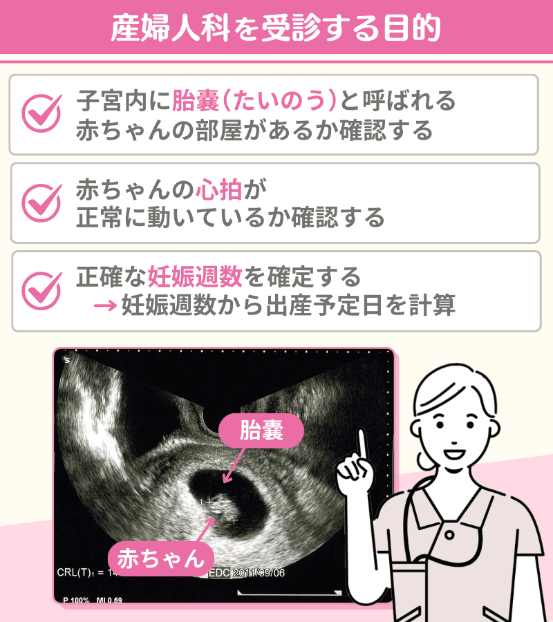 妊娠反応が陽性だったら病院はいつ行く？生理予定日から1〜2週間後に産婦人科へ
