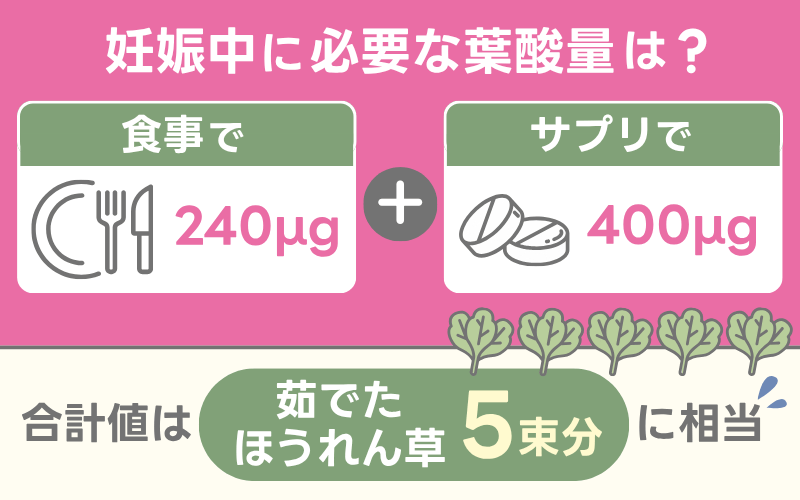 妊娠中に必要な葉酸量はどのくらい?