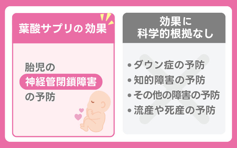 葉酸サプリの効果
