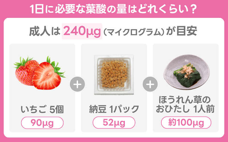 葉酸の1日の摂取量は240μg！妊活・妊娠中の女性は追加で摂取が必要