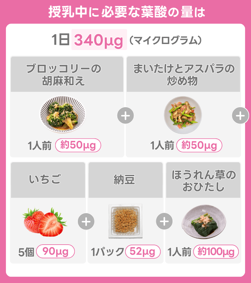 授乳中：1日340μgの葉酸を摂取