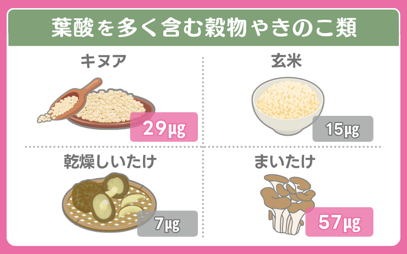 葉酸が多い食べ物（穀物・きのこ）