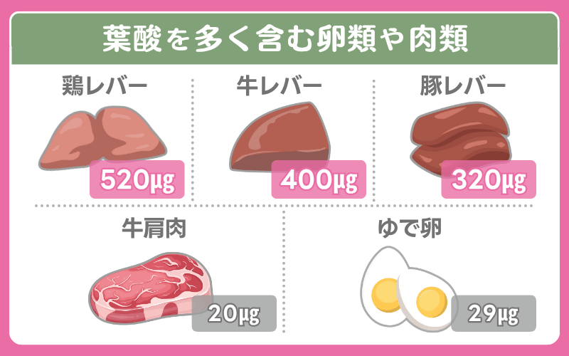 葉酸が多い食べ物（肉・卵）