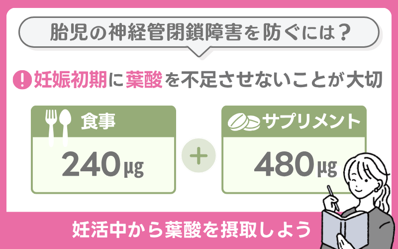 葉酸と神経管閉鎖障害
