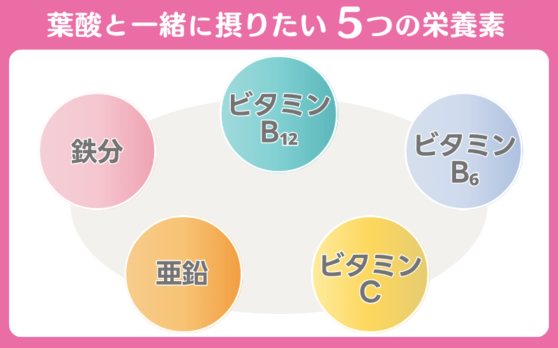 葉酸と一緒に摂りたい5つの栄養素