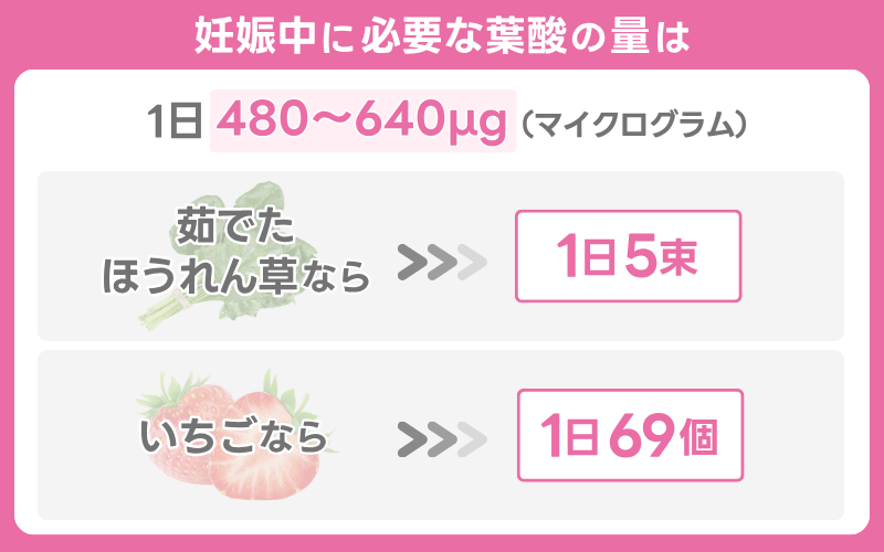 妊活・妊娠中：1日480〜640μgの葉酸を摂取