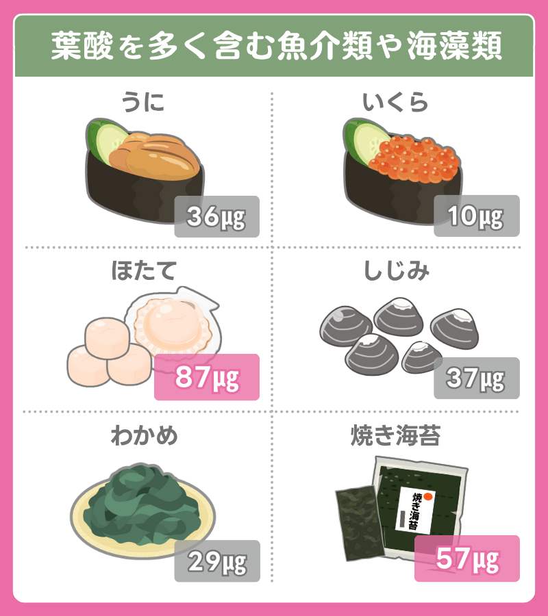 葉酸が多い食べ物（魚）
