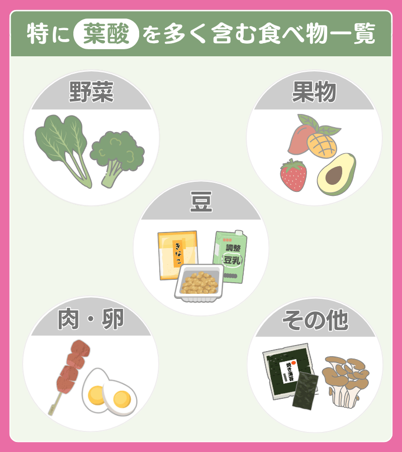 特に葉酸を多く含む食べ物一覧
