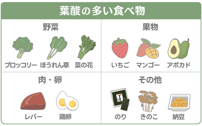 葉酸の多い食べ物
