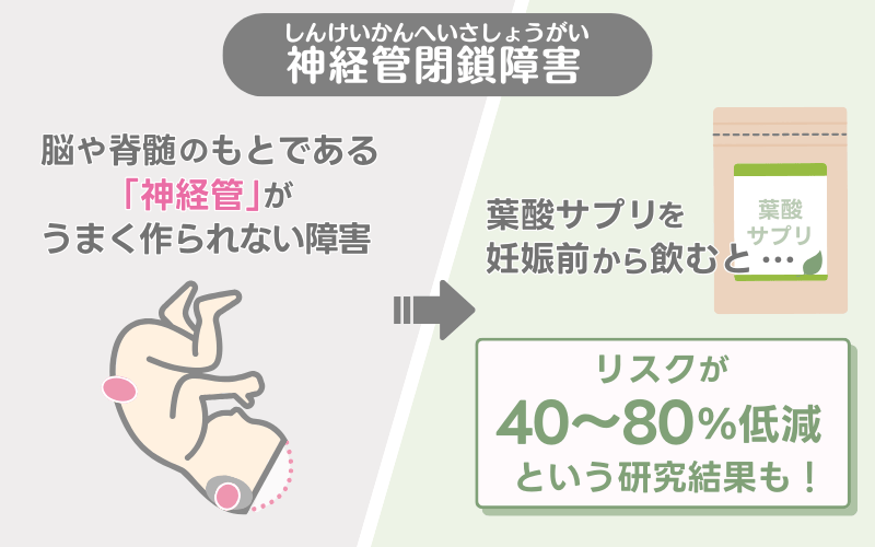 葉酸サプリの効果