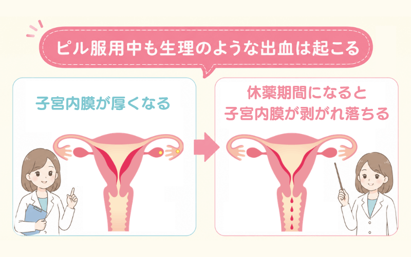 ピルを飲むと生理は止まる?